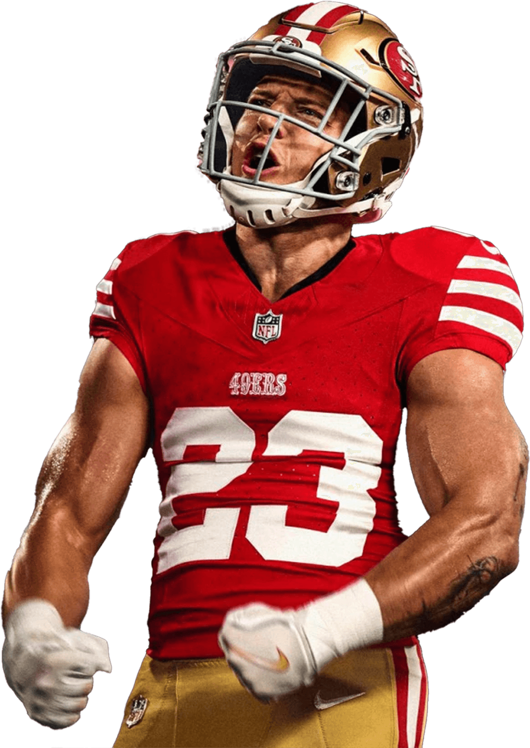 Confirm your purchase on the dashboard and again in your wallet